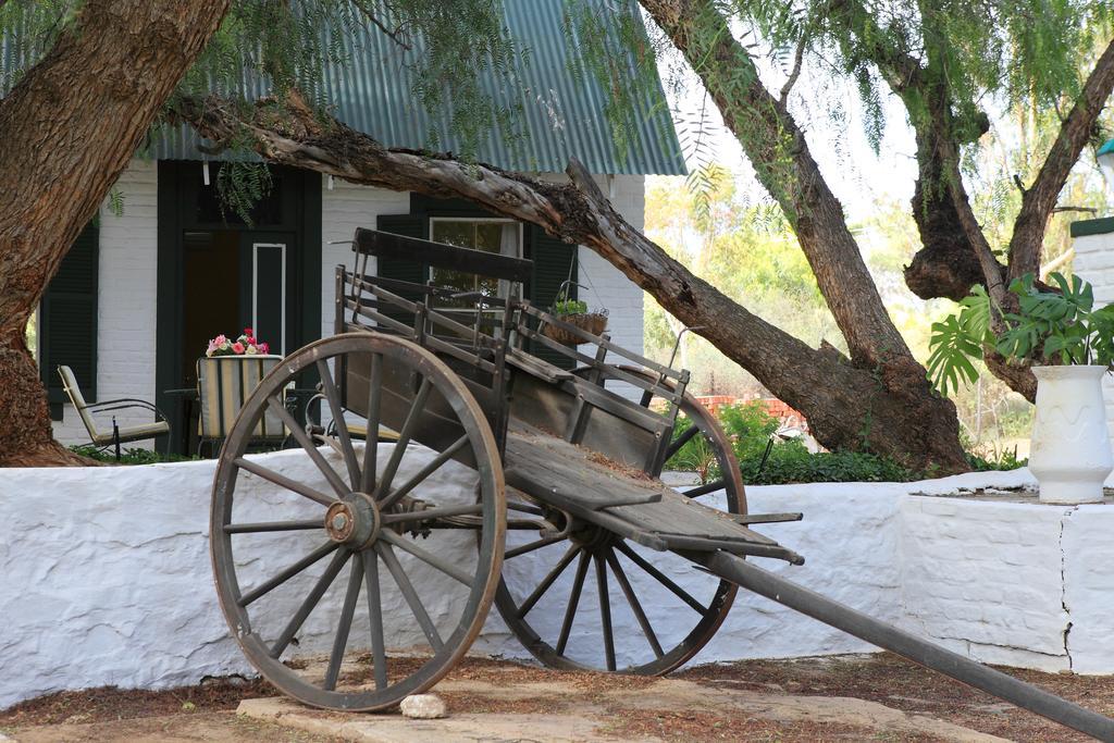 The Willow Historical Guest House Willowmore Bagian luar foto